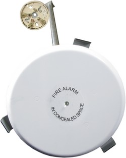 In ceiling detector mount