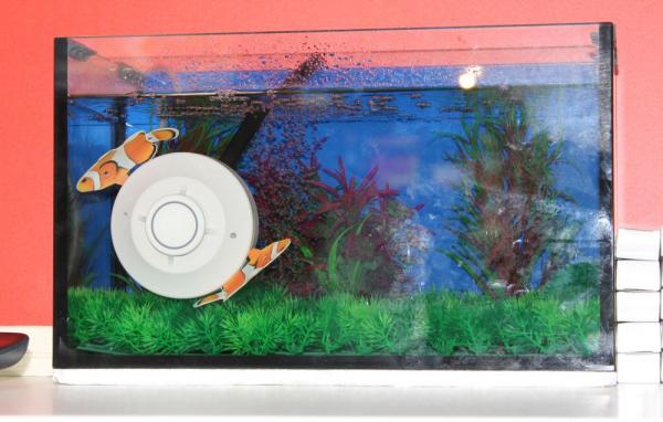 Fish Tank